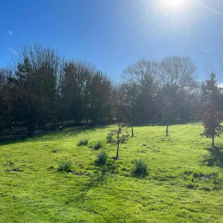 Darwin With Hot Tub * Malton