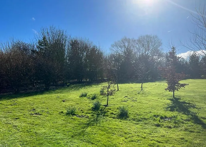 Darwin With Hot Tub * Malton